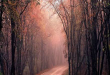 皇冠体育官网：官方：深圳新鹏城签下深足旧将、现青岛西海岸门将季家葆.