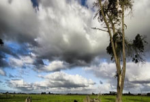 皇冠体育官网：父亲误杀坐牢到被乱枪打死！被“子弹”击中的天才终于杀回NBA.